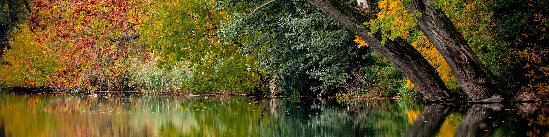 Grotto Header